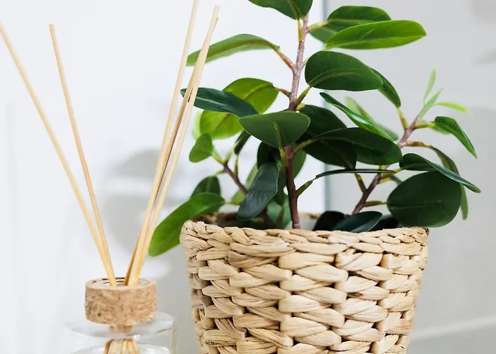 Boho With Terrace - Augarten - 10 Min To Center